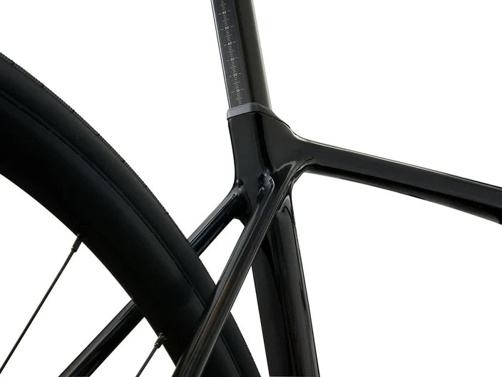 Giant TCR Advanced 2 (2025)