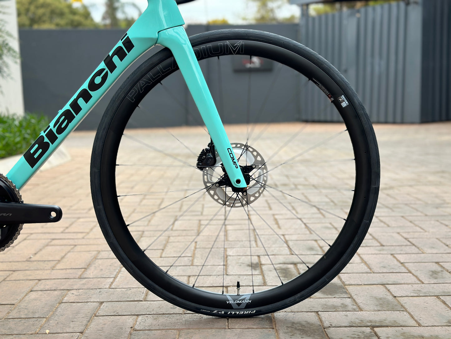 Bianchi Specialissima Comp Ultegra (2024)