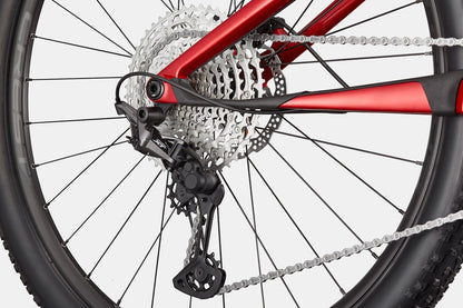 Cannondale Scalpel 4 (2026)