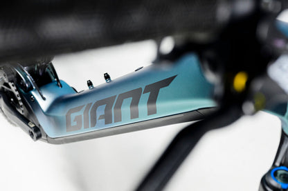 Giant Stance E+1 Pro (2025)