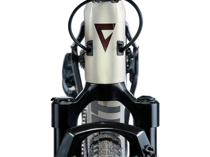 Giant Revolt X Advanced Pro 1 (2024)