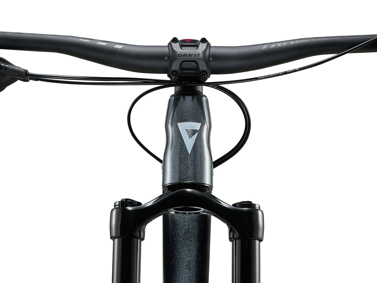 Giant Trance 2 29er (2024)