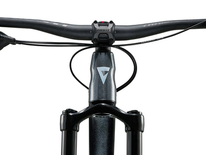Giant Trance 2 29er (2024)
