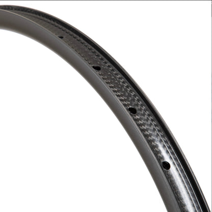 South Industries DH Carbon Rim