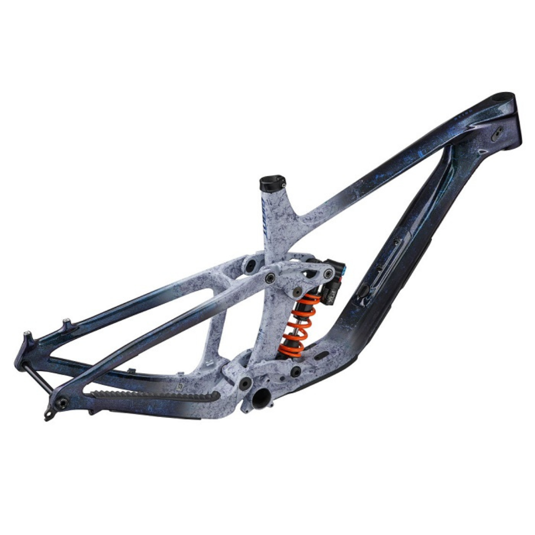 Reign advanced pro sale