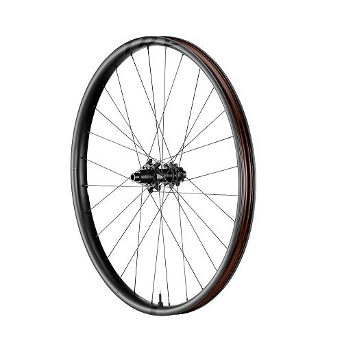 Giant TRX 29'' Carbon MTB Wheelset